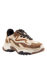 Sneakers Chunky Donna ASH Addict 02 Multicolore in Camoscio e Mesh – Scarpe Platform Suola Oversize