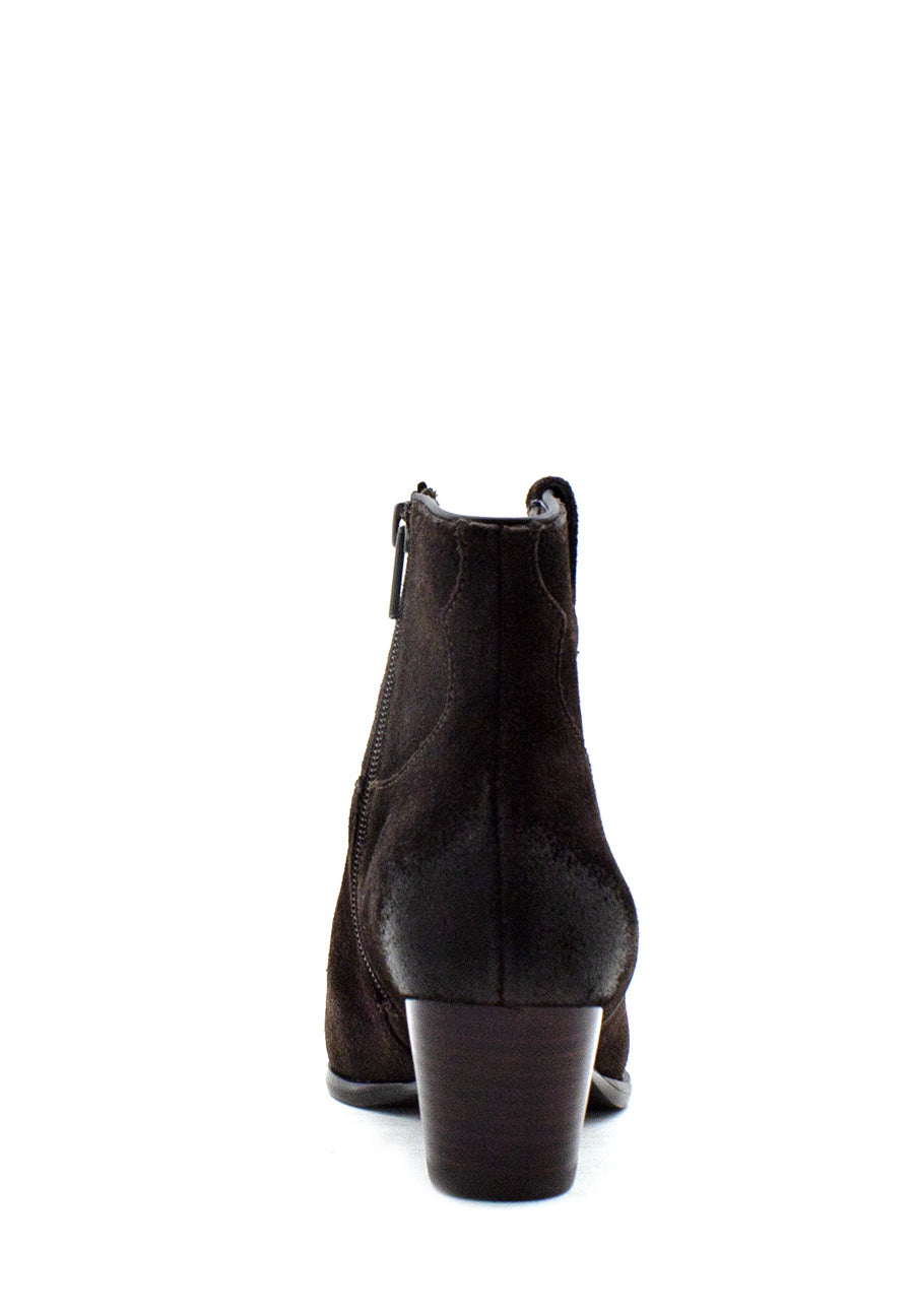 Texano Houston testa di moro Ash