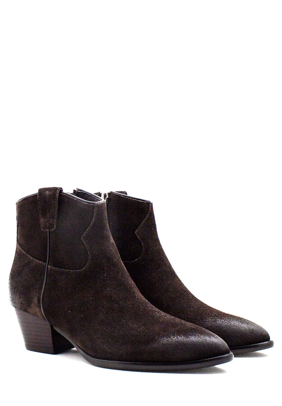 Texano Houston testa di moro Ash