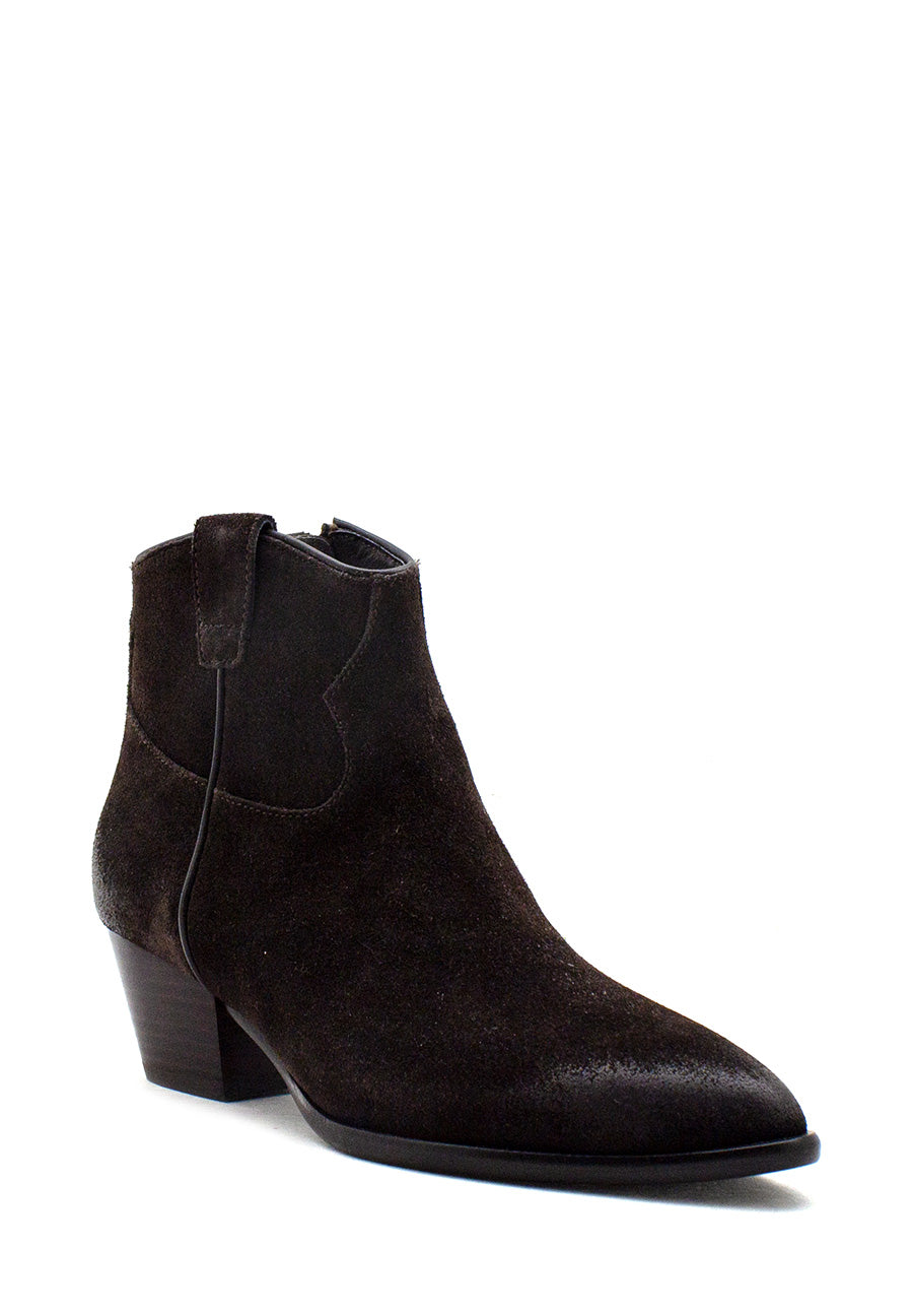 Texano Houston testa di moro Ash