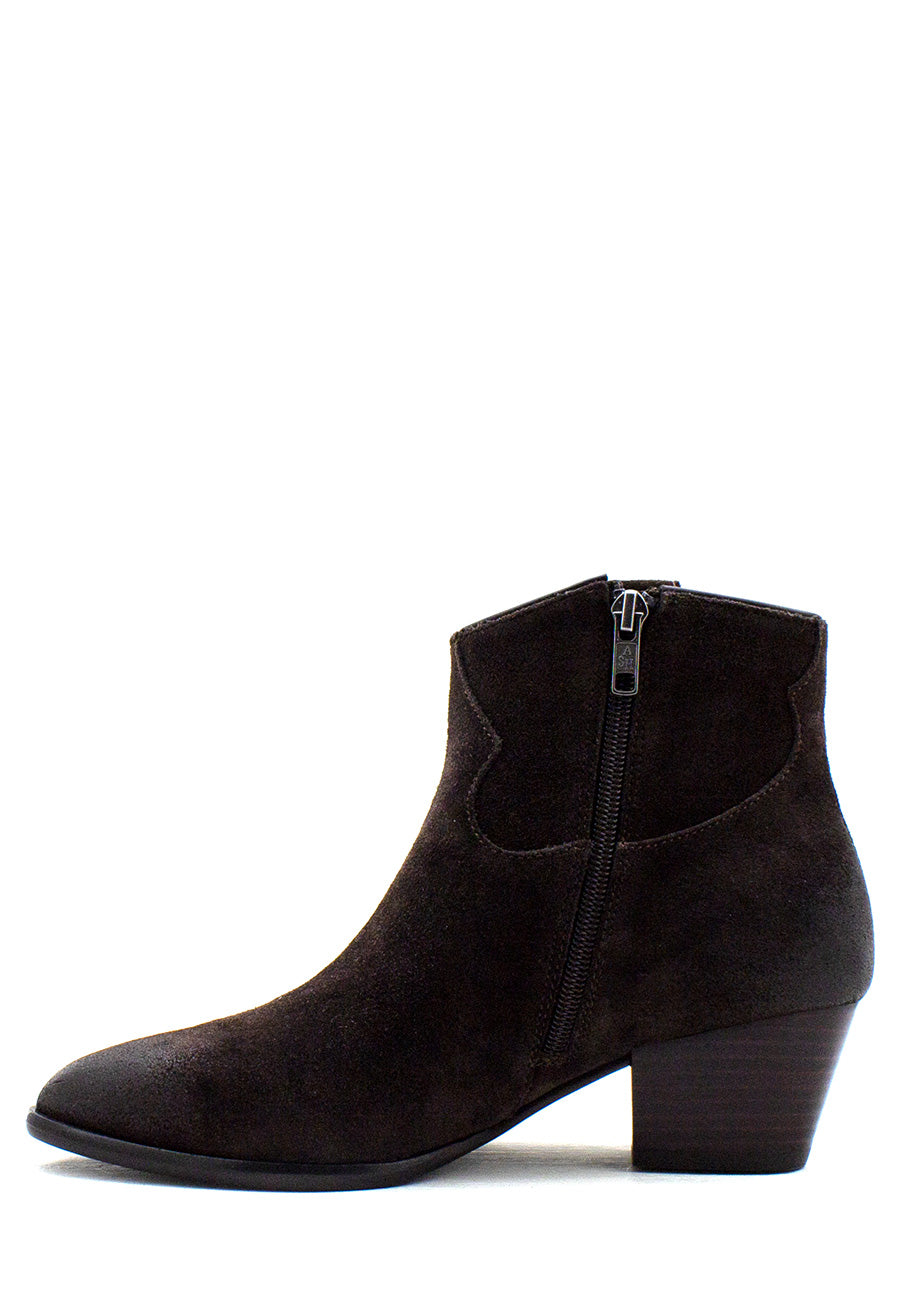 Texano Houston testa di moro Ash